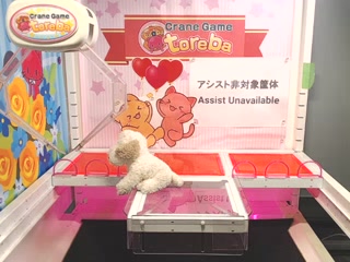 toreba-S 44号機