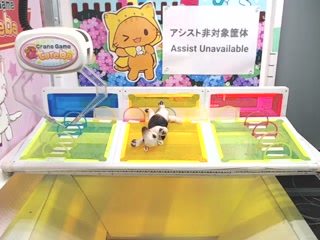 toreba-S 47号機