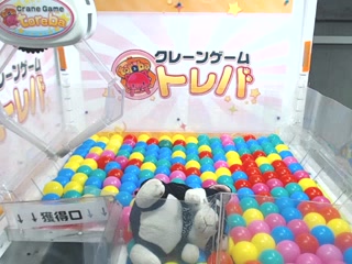 toreba 4thSE1-L 16号機